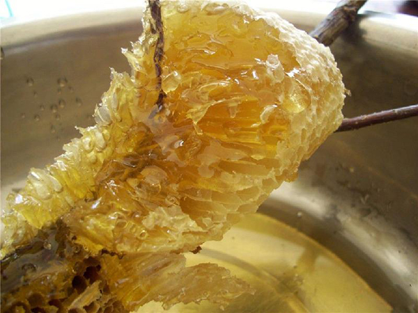 西部太陽谷 得榮原生態美食