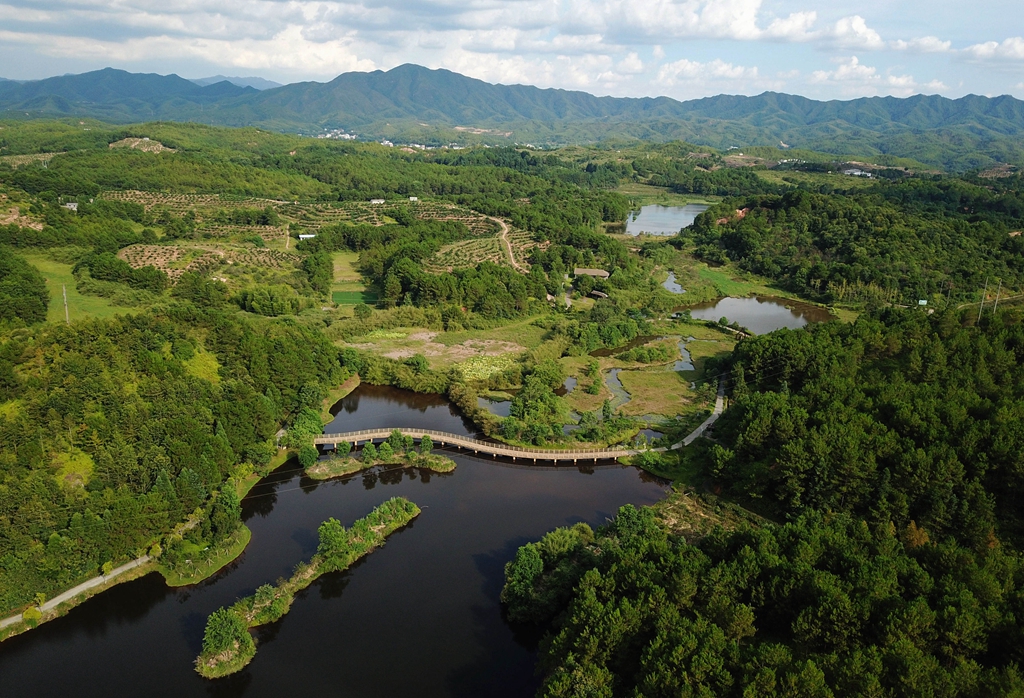 福建省龍巖市長汀縣的長汀汀江國家濕地公園景色（2020年7月28日攝，無人機(jī)照片）。新華社記者 魏培全 攝